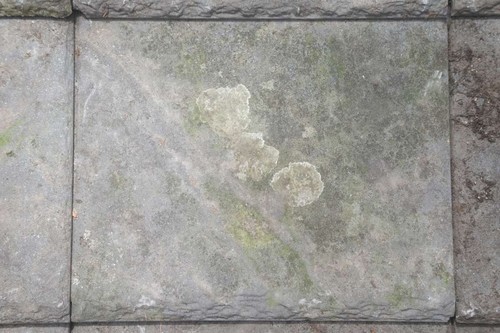 Reclaimed redland cambrian - reclaimed,