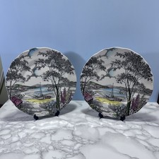 Vintage Pair of W.H. Grindley Dinner Plates - Holiday by Staffordshire Pottery