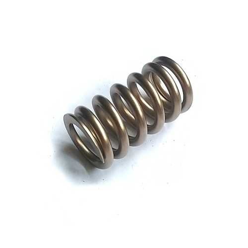 Delphi dfp6 plunger return - dfp6,