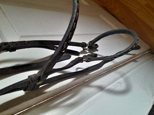Arab inhand show headcollar - inhand,