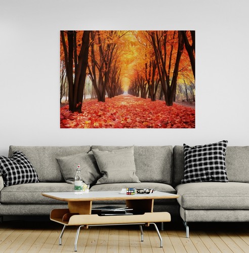 Autumn woodland forest trees - autumn,
