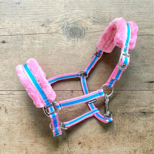 Mini shetland pink and - pink, blue