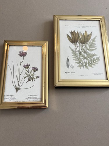 Framed botanical prints book - botanical, (book
