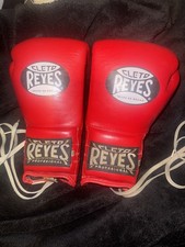 Cleto Reye 14 Oz Boxing Gloves