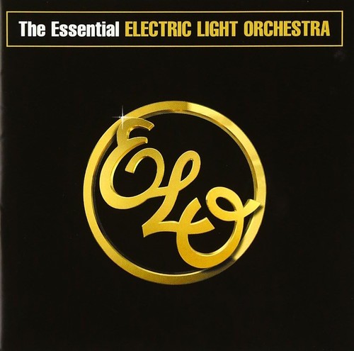 The essential electric light - the,
