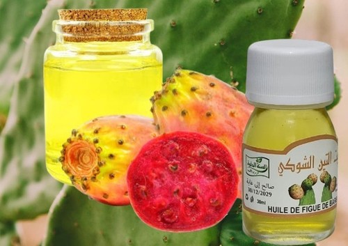Moroccan prickly pear - moroccan, seed