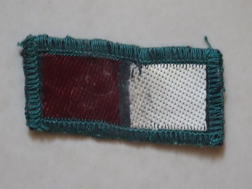 Scout patrol badge - scout,