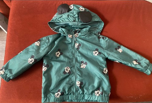 Mickey mouse fleece lined - mickey,