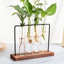 Test Tube Vase for Flowers