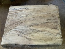 Spalted Elm Bowl Blank Wood