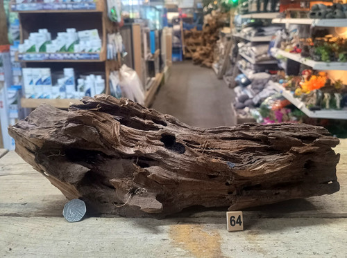 Medium natural bogwood - medium,