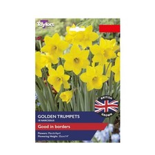 Taylors 18 Narcissus Golden Trumpets Bulbs