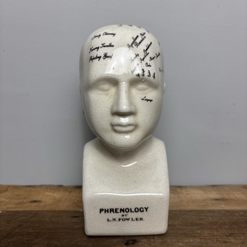 Ceramic phrenology head bust - phrenology,
