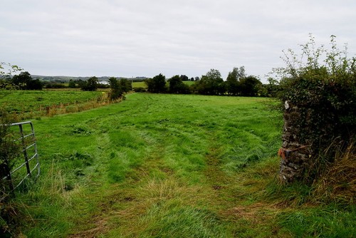 Photo 6x4 open field - 6x4,