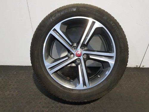Jaguar pace alloy - pace,