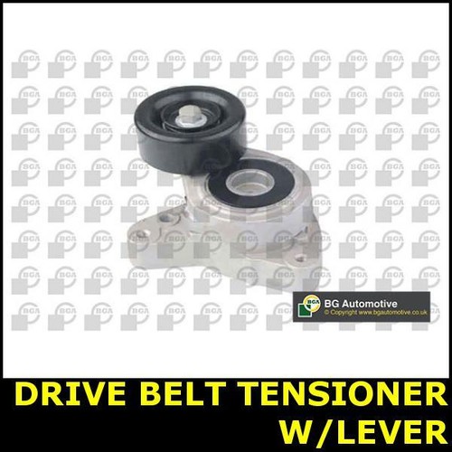 Belt tensioner arm - belt, lever