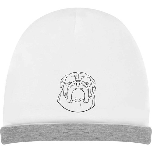 English bulldog portrait - bulldog, portrait'