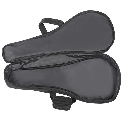 Mandolin case gig - case,