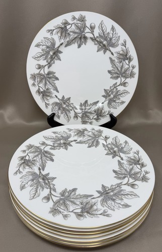 Wedgwood ashford w4106 dinner - w4106,