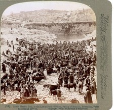 Cattle Market Day Valley of