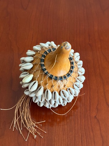 East african shekere cowrie - east,
