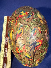 Gorgeous Early Parrot  German