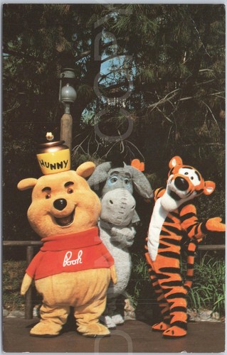 Vintage postcard disneyland - vintage,