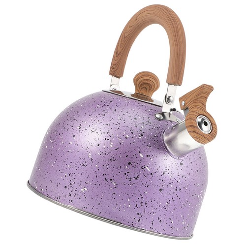 Stainless steel tea kettle - stainless,