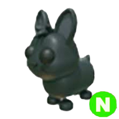 Neon amami rabbit - 🌈,
