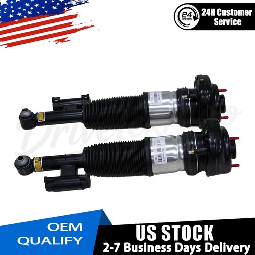 Rear air suspension struts - rear,