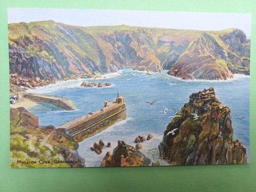 Post card salmon 4565 - card,