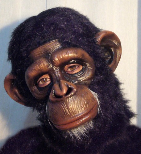 Chimp látex mask - chimp, planet