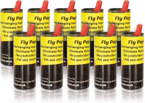 Fly insect catcher - fly, paper