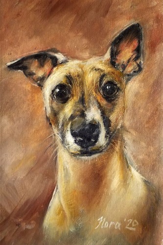 Original cute whippet - cute,