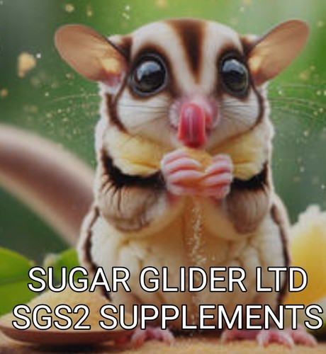 Sugar gllider sgs2 - gllider,