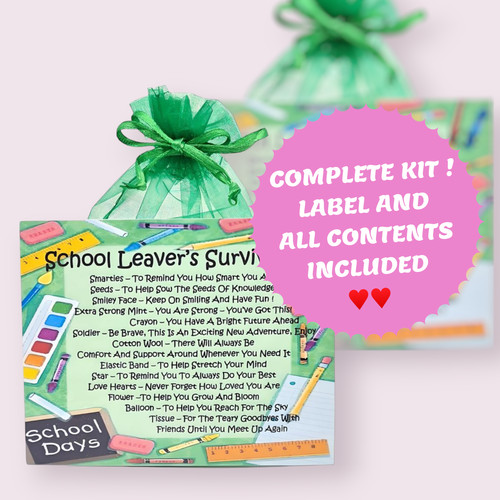 School leaver survival - school,