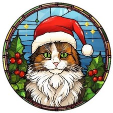 Cat Christmas baubles in a