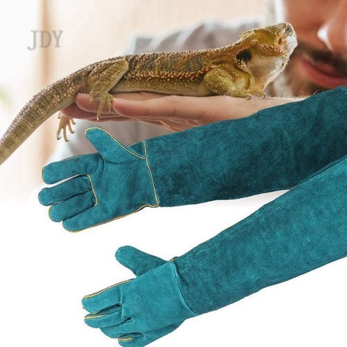 Pair animal handling - 1,