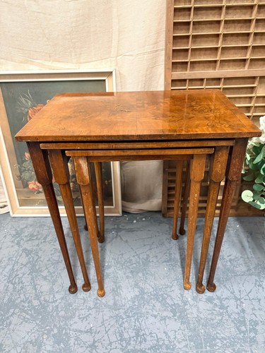 Nest antique burr walnut - antique,