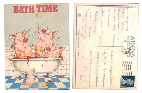Postcard bath time pigs - postcard,
