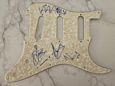Fully signed Travis - guitar