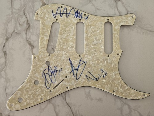 Fully signed travis guitar - fully,