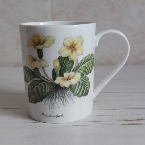 Whittard chelsea primrose - whittard,