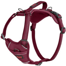 HALTI Anatomy Dog Harness -