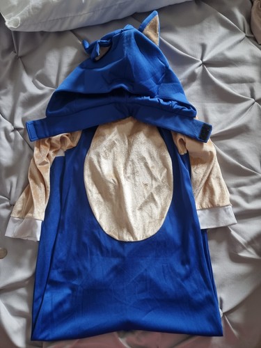 Sonic the hedgehog kids fancy - sonic,