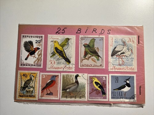 Bird life packet collection - collection, 25