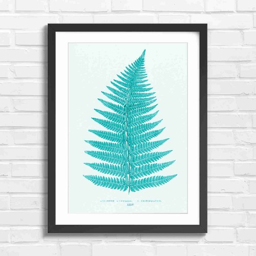 Botanical fern leaf - botanical,