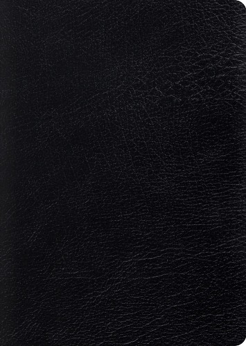 Esv study bible large - bible,, print