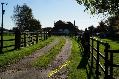 Photo 6x4 crow tree - photo,