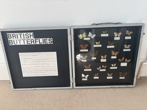 Vintage british butterfly - british,